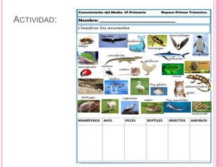 ACTIVIDAD:
 