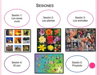 SESIONES
Sesión 1:
Los seres
vivos
Sesión 2:
Las plantas
Sesión 3:
Los animales
Sesión 4:
El zoo
Sesión 5:
Proyecto
 