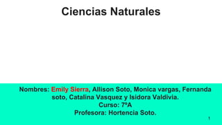 Ciencias Naturales
Nombres: Emily Sierra, Allison Soto, Monica vargas, Fernanda
soto, Catalina Vasquez y Isidora Valdivia.
Curso: 7ºA
Profesora: Hortencia Soto.
1
 