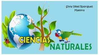 Ciencias Naturales
Silvia Vélez Rodríguez
Maestra
 
