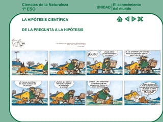 Ciencias de la Naturaleza
1º ESO
LA HIPÓTESIS CIENTÍFICA
DE LA PREGUNTA A LA HIPÓTESIS
El conocimiento
del mundoUNIDAD
 