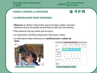 Ciencias de la Naturaleza
1º ESO
PONER A PRUEBA LA HIPÓTESIS
LA OBSERVACIÓN TIENE INTENCIÓN
• Observar es obtener información acerca de algún objeto o proceso
natural en busca de aquella característica o dato que nos interesa.
• Para observar hay que saber qué se busca.
• La observación científica proporciona información, datos.
• La información debe ordenarse en clasificaciones o tablas de
datos.
El conocimiento
del mundoUNIDAD
Observación astronómica. Hoja de recogida de datos.
 