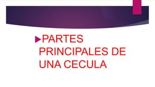 PARTES
PRINCIPALES DE
UNA CECULA
 