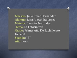 Maestro: Julio Cesar Hernández
Alumna: Rosa Alexandra López
Materia: Ciencias Naturales
Tema: La Fotosíntesis
Grado: Primer Año De Bachillerato
General
Sección: ¨B¨
Año: 2019
 