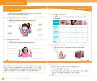 Guía didáctica del docente – Ciencias Naturales 1º básico102
Unidad 2: Nuestros sentidos
Describir la función de los sentidos
3. Marca con un ✔ la información que nos entrega cada uno de
los sentidos.
Describir la función de los sentidos
4. Marca con un ✔. ¿Qué parte de tu cuerpo es más sensible
al tacto?
a. b.
Estímulos
Colores
Sabores
Texturas
Aromas
Sonidos
Formas
Calor
83_ochenta y _tres
Texto del estudiante 82 y 83
Evaluación final
Léales las instrucciones y explíqueles paso a paso las actividades que deben realizar
en cada ítem. Se sugiere, apoyo visual para explicar las instrucciones o usar ejemplos.
También puede utilizar los íconos que les indican la acción que deben realizar.
Respuestas esperadas
1. Tacto-piel;gusto-lengua;olfato-nariz;oído-audición;ojo-visión.
2. a. boca;b. piel;c. oído;d. ojo;e. nariz.
3. Colores-visión; sabores-gusto; texturas-tacto; aromas-olfato; sonidos-audición;
distancias-visión;equilibrio-audición;formas-visión;calor-tacto.
4. Mano.
Lo que aprendí
Identificar la ubicación de los órganos de los sentidos
1. Une con una línea el órgano con el sentido que le
corresponde.
Identificar los sentidos y su función
2. Escribe la función del sentido que corresponde.
Realiza las siguientes actividades. Al finalizar, revisa con tu profesor y
pinta las huellas de Monti según tus logros.
Tacto
Olfato
Visión
Audición
Gusto
82 _ochenta y _dos
 