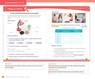 172 Guía didáctica del docente – Ciencias Naturales 1º básico
Trabajo en ciencias
¿En qué estaciones del año germinan las semillas?
En este trabajo experimental observarás si existe alguna relación entre la
germinación de las semillas y la temperatura de las distintas estaciones
del año.
¿Qué necesito?
Observo y pregunto
1. Conversen en grupo y marquen con un ✔ en qué estaciones del año
creen que germinan las semillas.
Invierno OtoñoVerano Primavera
2. Completen la oración con su predicción.
Yo _creo _que _en y _en
_germinan _las _semillas, _porque .
3. Comparen sus respuestas con las de los otros grupos.
4. Pongan a prueba sus respuestas con el siguiente experimento.
lentejas
agua
lámpara
tierra
bandejas de
plumavit
142 _ciento _cuarenta y _dos
Unidad 4: El día y las estaciones
Experimento
1 2 3
Marquen con un ✔ en la tabla cuando observen crecimiento
de las semillas.
Día Semillas con luz
Semillas en el
refrigerador
3
5
7
9
11
13
Crecimiento de las semillas
Analizo y comunico
a. ¿En qué bandeja germinaron las semillas? ¿A qué estaciones del año
corresponde el modelo?
b. ¿A qué se debe la diferencia de crecimiento, si la cantidad de agua y
de tierra eran iguales en ambas bandejas?
c. ¿Se cumplió la predicción que hicieron en Observo y pregunto?
d. Expliquen sus resultados haciendo un dibujo.
143_ciento _cuarenta y _tres
OA trabajado: 12
Describir y comunicar los cambios del ciclo de las estaciones y sus efectos en los seres
vivos y el ambiente.
Habilidades desarrolladas
Seguir instrucciones, manipular materiales simples, construir hipótesis, observar.
Objetivo del taller
Observar qué sucede con la germinación de las semillas en diferentes temperaturas
(relacionadas con las estaciones del año).
Texto del estudiante 142 y 143
 