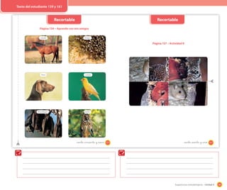 187Sugerencias metodológicas - Unidad 4
Página 134 – Aprendo con mis amigos
Perro Canario
Caballo Abejas
Murciélagos Búho
159_ciento _cincuenta y nueve
Recortable
Página 137 – Actividad 8
161_ciento _sesenta y _uno
Recortable
Texto del estudiante 159 y 161
 