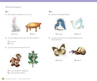 Guía didáctica del docente - Ciencias Naturales 1º básico204
VIII. Banco de preguntas
OA 1
1. ¿Qué imagen corresponde a un ser vivo?
A. Conejo. B. Mesa.
2. ¿En qué se diferencian los seres vivos de los objetos?
A. Se mueven.
B. Crecen.
3. ¿En qué se parecen estos seres vivos?
A. La vaca y la planta se desplazan.
B. La vaca y la planta respiran.
OA 2
4. ¿Qué ave se desplaza volando?
A. Pingüino B. Paloma
5. ¿Cuál de estos seres vivos se puede desplazar de dos
formas distintas?
A. Mariposa. B. Caracol.
 