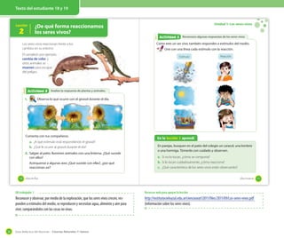 Guía didáctica del docente – Ciencias Naturales 1º básico34
Texto del estudiante 18 y 19
Lección
2
¿De qué forma reaccionamos
los seres vivos?
Analizo la respuesta de plantas y animalesAnalizo la respuesta de plantas y animalesActividad 2Actividad 2
Los seres vivos reaccionan frente a los
cambios en su entorno
El camaleón por ejemplo,
cambia de color, y
otros animales se
mueven para escapar
del peligro.
1. Observa lo que ocurre con el girasol durante el día.
Comenta con tus compañeros.
a. ¿A qué estímulo está respondiendo el girasol?
b. ¿Qué le ocurre al girasol durante el día?
2. Salgan al patio. Iluminen animales con una linterna. ¿Qué sucede
con ellos?
Acérquense a algunas aves ¿Qué sucede con ellas?, ¿por qué
reaccionan así?
El camaleón por ejemplo,
, y
para escapar
18 _dieciocho
Unidad 1: Los seres vivos
Reconozco algunas respuestas de los seres vivosReconozco algunas respuestas de los seres vivosActividad 2Actividad 3
Como eres un ser vivo, también respondes a estímulos del medio.
Une con una línea cada estímulo con la reacción.
En la lección 2 aprendí
En parejas, busquen en el patio del colegio un caracol, una lombriz
o una hormiga. Tómenlo con cuidado y observen.
a. Si no lo tocan, ¿cómo se comporta?
b. Si lo tocan cuidadosamente, ¿cómo reacciona?
c. ¿Qué característica de los seres vivos están observando?
Estímulo Reacción
36 mm
Página 16
34 mm
19_diecinueve
OA trabajado: 1
Reconocer y observar, por medio de la exploración, que los seres vivos crecen, res-
ponden a estímulos del medio, se reproducen y necesitan agua, alimento y aire para
vivir, comparándolos con las cosas no vivas.
Recursos web para apoyar la lección
http://institutocieloazul.edu.ar/cienciasnat12011/files/2011/09/Los-seres-vivos.pdf
(información sobre los seres vivos).
 