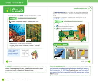 Guía didáctica del docente – Ciencias Naturales 1º básico46
Texto del estudiante 30 y 31
Lección
6
¿Dónde viven
los animales?
Observo y comparo diferentes hábitatsActividad 2Actividad 9
Observa los siguientes hábitats y conversa con tu curso.
Los animales viven en su hábitat. Ahí encuentran su alimento y refugio.
1. ¿Qué observas en cada uno de los hábitats?
2. ¿Podrán vivir los mismos animales en el bosque y en el mar?
¿Por qué?
Fuego no soy, pero mi
nombre lo dice.
Chalecos y pompones
con mi lana se visten.
Adivina buen
adivinador:
¿Cuál es este
animal?
Mar Bosque
30 _treinta
Unidad 1: Los seres vivos
Distingo animales domésticos y silvestresActividad 2Actividad 10
Los animales silvestres viven en su hábitat sin necesitar el cuidado del ser
humano. Viven en forma natural en hábitats como el desierto, el bosque o
el mar.
Otros animales sí necesitan los cuidados del ser humano. Estos son los
animales domésticos.
En la lección 6 aprendí
Marca con un ✔ el animal silvestre.
Observa la ilustración y trabaja.
1. Encierra los animales domésticos.
2. Marca los animales silvestres.
Cóndor Gallina Canario
31_treinta y _uno
OA trabajado: 2
Observar y comparar animales de acuerdo a características como tamaño, cubierta
corporal, estructuras de desplazamiento y hábitat entre otras.
Recursos web para apoyar la lección
http://environment.nationalgeographic.com/environment/photos/desert-wildlife/#/
desert-mountain-lion_139_600x450.jpg (fotografías desierto). http://video.national
geographic.com/video/kids/en-espanol-kids/anim-cichlid-fightingterrapin-spa-kids/
(hábitat acuático).
 