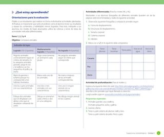 Sugerencias metodológicas - Unidad 1 49
Actividades diferenciadas (Para los niveles ML y NL)
Muéstreles a sus alumnos fotografías de diferentes animales (pueden ser de las
páginas web recomendadas) y realice la siguiente actividad.
1.	Observa las siguientes fotografías y compara lo animales según:
a.	Forma de desplazamiento.
b.	Estructuras de desplazamiento.
c.	 Tamaño corporal.
d.	Cubierta corporal.
e.	Hábitats.
2.	Marca con un ✓ en la siguiente tabla comparativa.
Tiene
plumas
Tiene
escamas
Tiene pelos
Vive en el
agua
Vive en la
tierra
Canario
Pez
Zorro
Actividad de profundización (Para el niveles L)
Ingresa a la siguiente dirección web http://kids.nationalgeographic.com/kids/photos/
gallery/my-shot-cute-animals/#/baby-monkey-cute-kids-ms_46827_600x450.jpg y
describe a dos animales que hayan llamado tu atención.
Luego puedes jugar en www.tudiscoverykids.com/juegos/animales/ .
Respuestas esperadas
1.	Animales grandes: oso y ballena.
Animales pequeños: araña y gallina.
2.	Gaviota y llama.
3.	Tiene su piel cubierta de plumas: Gallo y loro. 	
Tiene su piel cubierta de pelos: Perro y gato.
	 ¿Qué estoy aprendiendo?
Orientaciones para la evaluación
Pídales a sus estudiantes que realicen en forma individual las actividades planteadas.
Al finalizar, es importante que tanto el profesor como el alumno revise sus resultados
y repase los contenidos y habilidades menos logrados. Para esto, indíquele a sus
alumnos, los niveles de logro alcanzados; utilice las rúbricas y envíe de tarea, las
actividades indicadas (diferenciadas).
Ítems 1, 2, 3 y 4
Objetivo: Comparar animales.
Indicador de logro
Logrado (10-12 puntos)
Medianamente
logrado (7-9 puntos)
No logrado (4-6 puntos)
Pega los animales
correctamente según el
criterio de tamaño. En
la categoría animales
grandes, pega el oso
y la ballena y en los
pequeños, el pollo y la
araña.
Pega correctamente
un animal en cada
grupo.
No pega los animales
según el criterio que
corresponde.
Marca la gaviota y
la llama porque no
corresponder a los
hábitats ilustrados.
Marca solo uno de
los animales.
No marca ninguno
de los animales
correspondientes.
Une los cuatro animales
con sus características.
Une dos o tres
animales con sus
características.
Une uno o ningún
animal con su
característica.
ÍDibuja dos animales
que se desplazan con
aletas y dos que se
desplazan utilizando las
patas.
Dibuja un animal en
cada criterio o dos
en una categoría.
No dibuja ningún animal
en los cuadros.
 