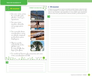 Sugerencias metodológicas - Unidad 1 59
Texto del estudiante 43
Unidad 1: Los seres vivos
Mi resumen
Los _seres vivos, _como
_las _animales y _las
_plantas, _crecen y _se
_reproducen.
Los _seres vivos
necesitan _alimento,
_aire y _agua _para
vivir.
Los _animales _tienen
_características _como
_su _cubierta _corporal
y _estructuras _para
_desplazarse.
Algunas _partes
_importantes de _las
_plantas _son
_la _raíz, _el _tallo, _las
_hojas y _las _flores.
La _ranita de Darwin y la _araucaria _son _seres
vivos _característicos de Chile.
Patos
Jirafa
Cocodrilo
Araucaria
43_cuarenta y _tres
Mi resumen
El objetivo de esta página es que los estudiantes puedan integrar y relacionar todos
los temas trabajados en la unidad 1. Antes de leer el esquema converse con ellos
sobre lo que recuerdan: ¿qué aprendieron en esta unidad?; ¿qué características
tienen los seres vivos?, ¿qué aprendieron sobre los animales?, ¿y sobre las plantas?
 