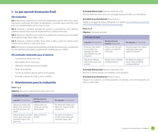 Sugerencias metodológicas - Unidad 1 61
	 Lo que aprendí (Evaluación final)
OA evaluados
OA 1. Reconocer y observar, por medio de la exploración, que los seres vivos crecen,
responden a estímulos del medio, se reproducen y necesitan agua, alimento y aire
para vivir, comparándolos con las cosas no vivas.
OA 2. Observar y comparar animales de acuerdo a características como tamaño,
cubierta corporal, estructuras de desplazamiento y hábitat, entre otras.
OA 3. Observar e identificar, por medio de la exploración, las estructuras principales
de las plantas: hojas, flores, tallos y raíces.
OA 4. Observar y clasificar semillas, frutos, flores y tallos a partir de criterios como
tamaño, forma, textura y color, entre otros.
OA5.Reconocerycomparardiversasplantasyanimalesdenuestropaís,considerando
las características observables y proponiendo medidas para su cuidado.
OA evaluado redactado para el alumno
•	 Características de los seres vivos.
•	 Necesidades de los seres vivos.
•	 Diferentes características de los animales.
•	 Partes de las plantas.
•	 Formas de clasificar algunas partes de las plantas.
•	 Animales y plantas de Chile y cómo cuidarlos.
	 Orientaciones para la evaluación
Ítems 1 y 2
Objetivo: Reconocer características de los seres vivos.
Indicador de logro
Logrado (5-6 puntos)
Medianamente
logrado (4 puntos)
No logrado (2-3 puntos)
Dibuja las etapas que
faltan en la secuencia
de vida del pato y el
árbol.
Dibuja solo una
de las secuencias
presentadas.
No dibuja las etapas que
faltan en ninguna de las
secuencias.
Marca el árbol y el niño
como seres vivos que
necesitan agua y aire
para vivir.
Marca el árbol o
el niño.
No marca ni el árbol ni
el niño como seres que
necesitan agua y aire.
Actividad diferenciada (Para los niveles ML y NL)
Recorta diferentes seres vivos y en una página pega animales y en otra, plantas.
Actividad de profundización (Para el nivel L)
Trabaja en el siguiente enlace. Pide ayuda a un adulto. www.ceibal.edu.uy/UserFiles/
P0001/ODEA/ORIGINAL/100529%5Flocomotor.elp/
Ítems 3 y 4
Objetivo: Comparar animales.
Indicador de logro
Logrado (5-6 puntos)
Medianamente
logrado (4 puntos)
No logrado (2-3 puntos)
Pinta de color verde
el cocodrilo y la
lagartija; de color
rojo el flamenco y el
pingüino.
Pinta un ave de color
verde o un reptil de
color rojo.
No pinta según los colores
solicitados para cada
cubierta corporal.
Dibuja los hábitats
adecuados para cada
animal.
Dibuja solo un hábitat
correspondiente.
No dibuja en ninguno
de los casos el hábitat
correspondiente.
Actividad diferenciada (Para los niveles ML y NL)
Recorta un animal grande, uno mediano y uno pequeño.
Actividad de profundización (Para el nivel L)
Dibuja en tu cuaderno un animal pequeño con plumas y otro animal grande con
pelos y cuatro patas.
 