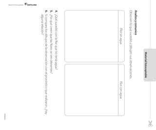 Analizoycomunico
Observenloquesucedióydibujensusobservaciones.
4.¿Quésucedióconlaflorquenoteníaagua?
5.¿Porquécreenquelasfloressevendiferentes?
6.Sicomparalosdibujosdelaobservaciónconelpronósticoquerealizaron,¿hay
algunarelación?
Materialfotocopiable
FlorconaguaFlorsinagua
Material fotocopiable
Unidad1
 