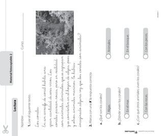 Materialfotocopiable2
Lectura
Nombre:Curso:
1.Leeelsiguientetexto.
Los_corales
En_un_arrecife_de_coral_habita_una
_gran_cantidad_deseresvivos.Los
_corales_parecen_rocas,_pero_en_realidad
_son_animales_diminutos_quese_agrupan
yse_convierten_en_el_hogar_de_algas,_peces
y_otros_animalesmarinos.T_e_habías
_imaginado_algunavez_que_los_corales_son_animales?
2.Marcaconuna✘larespuestacorrecta.
a.¿Quésonloscorales?
Algas.Animales.
b.¿Dóndevivenloscorales?
Enelmar.Enelbosque.
c.¿Conquéotrosanimalesvivenloscorales?
Conlasrocas.Conlospeces.
Materialfotocopiable
Unidad1
 