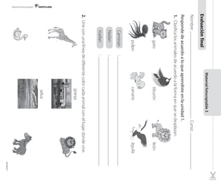 Materialfotocopiable3
Nombre:Curso:
Respondedeacuerdoaloqueaprendisteenlaunidad1.
1.Clasificalosanimalesdeacuerdoalaformaenquesedesplazan.
gatotiburónleón
pulpocanarioáguila
Caminan:
Nadan:
Vuelan:
2.Uneconunalíneadediferentecolorcadaanimalconellugardondevive.
Vuelan:
Nadan:
Caminan:
pulpocanarioáguilapulpocanarioáguila
gatotiburónleóngatotiburónleón
pulpocanarioáguila
gatotiburónleón
Evaluaciónfinal
granja
selva
Material fotocopiable
Unidad1
 