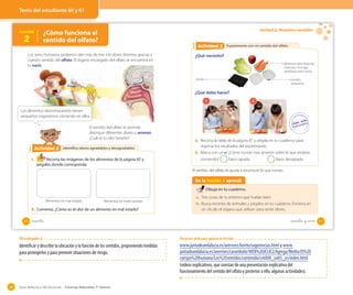 Guía didáctica del docente – Ciencias Naturales 1º básico80
OA 6
Identifico olores agradables y desagradablesIdentifico olores agradables y desagradablesActividad 2Actividad 2
Los seres humanos podemos oler más de tres mil olores distintos gracias a
nuestro sentido del olfato. El órgano encargado del olfato se encuentra en
tu nariz.
El sentido del olfato te permite
distinguir diferentes olores o aromas.
¿Cuál es tu olor favorito?
1. Recorta las imágenes de los alimentos de la página 87 y
pégalos donde corresponda.
Alimentos en mal estado Alimentos en buen estado
2. Comenta: ¿Cómo es el olor de un alimento en mal estado?
Lección
2
¿Cómo funciona el
sentido del olfato?
Los alimentos descompuestos tienen
pequeños organismos creciendo en ellos.
60 _sesenta
Unidad 2: Nuestros sentidos
Experimento con mi sentido del olfatoActividad 2Actividad 3
¿Qué necesito?
¿Qué debo hacer?
1 2
a. Recorta la tabla de la página 87 y pégala en tu cuaderno para
registrar los resultados del experimento.
b. Marca con un ✔. ¿Cómo tuviste más aciertos sobre lo que estabas
comiendo? Nariz tapada. Nariz destapada.
En la lección 2 aprendí
Dibuja en tu cuaderno.
a. Tres cosas de tu entorno que huelan bien.
b. Busca recortes de animales y pégalos en tu cuaderno. Encierra en
un círculo el órgano que utilizan para sentir olores.
venda pocillos
pequeños
alimentos para degustar
(manzana, lechuga,
zanahoria, entre otros)
El sentido del olfato te ayuda a reconocer lo que comes.
61_sesenta y _uno
Texto del estudiante 60 y 61
OA trabajado: 6
Identificar y describir la ubicación y la función de los sentidos, proponiendo medidas
para protegerlos y para prevenir situaciones de riesgo.
Recursos web para apoyar la lección
www.juntadeandalucia.es/averroes/loreto/sugerencias.html y www.
juntadeandalucia.es/averroes/carambolo/WEB%20JCLIC2/Agrega/Medio/El%20
cuerpo%20humano/Los%20sentidos/contenido/cm008_oa05_es/index.html
(videos explicativos, que constan de una presentación explicativa del
funcionamiento del sentido del olfato y posterior a ello, algunas actividades).
 