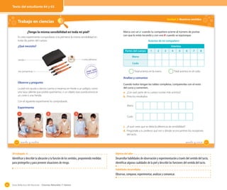 Guía didáctica del docente – Ciencias Naturales 1º básico84
Trabajo en ciencias OA 6
¿Tengo la misma sensibilidad en toda mi piel?
En este experimento comprobarás si la piel tiene la misma sensibilidad en
todas las partes del cuerpo.
¿Qué necesito?
Observo y pregunto
La piel nos ayuda a darnos cuenta si estamos en frente a un peligro, como
una taza caliente que podría quemarnos, o un objeto que pueda provocar
un corte o una herida.
Con el siguiente experimento lo comprobarás.
Experimento
venda
tres portaminas
cinta adhesiva
1 2 3
64 _sesenta y _cuatro
Unidad 2: Nuestros sentidos
Analizo y comunico
Cuando todos tengan las tablas completas, compárenlas con el resto
del curso y comenten.
a. ¿Con qué parte de tu cuerpo tuviste más aciertos?
b. Pinta los resultados.
Mano
Codo
c. ¿A qué crees que se deba la diferencia de sensibilidad?
d. Pregúntale a tu profesor qué son y dónde se encuentran los receptores
del tacto.
Marca con un ✔ cuando tu compañero acierte al número de puntas
con que lo estás tocando y con una ✘ cuando se equivoque.
Total aciertos en la mano. Total aciertos en el codo.
Partes del cuerpo Intentos
Partes del cuerpo 1 2 3 4 5 6 7 8
Mano
Codo
Aciertos de mi compañero
65sesenta y _cinco
Texto del estudiante 64 y 65
OA trabajado: 6
Identificar y describir la ubicación y la función de los sentidos, proponiendo medidas
para protegerlos y para prevenir situaciones de riesgo.
Objetivo del taller
Desarrollar habilidades de observación y experimentación a través del sentido del tacto,
identificar algunas cualidades de la piel y describir las funciones del sentido del tacto.
Habilidades desarrolladas
Observar, comparar, experimentar, analizar y comunicar.
 
