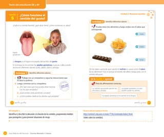 Guía didáctica del docente – Ciencias Naturales 1º básico88
OA 6
Lección
5
¿Cómo funciona el
sentido del gusto?
¿Cuál es tu comida favorita?, ¿qué sabor tiene?, ¿cómo reconoces su sabor?
La lengua es el órgano encargado del sentido del gusto.
En la lengua se encuentran las papilas gustativas, y gracias a ellas puedes
reconocer diferentes sabores: ácido, salado, dulce y amargo.
Identifico diferentes saboresActividad 2Actividad 7
1. Trabaja con un compañero y sigue las instrucciones que
te dará tu profesor.
2. Luego, comenta con tu compañero.
a. ¿Por qué crees que esta prueba debe hacerse
con los ojos vendados?
b. ¿Qué sentido estás poniendo a prueba?
c. ¿Cómo podrías clasificar los sabores que probaste?
Papilas
gustativas
68 sesenta y _ocho
Unidad 2: Nuestros sentidos
Identifico diferentes saboresActividad 2Actividad 8
Prueba estos tres alimentos y luego únelos con el sabor que
corresponde.
¿Te has dado cuenta de que cuando te resfrías te cuesta sentir el sabor
de los alimentos? Esto es porque el sentido del olfato trabaja junto con el
sentido del gusto.
Dulce
Salado
Ácido
En la lección 5 aprendí
Pinta las afirmaciones correctas.
Los sabores que puedes percibir son
solo dulce y amargo.
Las papilas gustativas y la nariz
ayudan a sentir los sabores.
Las papilas gustativas se encuentran en la lengua.
69sesenta y _nuve
Texto del estudiante 68 y 69
OA trabajado: 6
Identificar y describir la ubicación y la función de los sentidos, proponiendo medidas
para protegerlos y para prevenir situaciones de riesgo.
Recurso web para apoyar la lección
http://conteni2.educarex.es/mats/11362/contenido/index2.html.
(video sobre los sentidos).
 