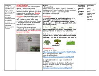 Observoel
mundoenel que
vivo.• Clasifico
seresvivosen
diferentesgrupos
taxonómicos
(plantas,
animales,
microorganismos
) • Valoroy
utilizoel
conocimientode
diferentes
personasde mi
entorno.
REINO VEGETAL
El reino vegetal:está formado por las
plantas. Las plantas son seres
pluricelulares que fabrican su propio
alimento,(llamadas autrofas), gracias a
una sustancia verde llamada clorofila
que ayuda a realizar el proceso de la
fotosíntesis. Mediante este proceso los
vegetales elaboran su propio alimento a
partir de los nutrientes (agua, sales,
minerales) que toman del suelo, el agua
y los gases que forman parte del aire,
además de la energía del sol.
Viven en ambientes terrestres y
acuáticos. El cuerpo de las plantas está
compuesto por la raíz, el tallo, las hojas,
las flores y los frutos.
Saludo
llamado a lista
Breve introducción al tema, objetivo, actividades y
evaluación; para que el estudiante tenga una idea del
desarrollo de la clase y que va a aprender.
Establecer compromisos.
MOTIVACIÓN
1. El docente pega la silueta de una planta en el
tablero y preguntara a los estudiantes qué
observan? Qué saben o conocen de las plantas?
Luego pegará en diferentes lugares del tablero las
siguientes palabras:
El estudiante debe ubicar cada palabra en el lugar
correspondiente de la planta. Lluvia de ideas.
2. El docente proporcionará a cada estudiante la
imagen de tres plantas diferentes. Preguntará qué
observan? En qué se diferencian? qué clase de
plantas son?
DESARROLLO
1.Observar el video:
https://www.youtube.com/watch?v=ThbSPNlRz0o
lluvia de ideas sobre el video
video de la fotosíntesis:
https://www.youtube.com/watch?v=ru6rZNQg3eM
2. Explicación del tema y copiar concepto en el
cuaderno.
3. Recortar imágenes de plantas y clasificarlas en
hierbas, arbustos, arboles, en gimnospermas y
angiospermas.
https://www.youtube.com/watch?v=PE9HgVz8o7Y
Videobeam
Fotocopias
Imágenes
Recursos
del medio
Pegante
Tijeras
Actividades
de
clase
Participación
activa
Evaluaciones
orales y
escritas
Taller de
evaluación
Flor Raíz hoja tallo
 