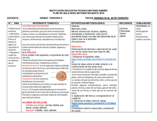 INSTITUCIÓN EDUCATIVATECNICAANTONIO NARIÑO
PLAN DE AULA SEDE ANTONIO RICAURTE 2019
DOCENTE: GRADO: TERCERO 5 FECHA: SEMANA 04 AL 08 DE FEBRERO
N° DBA REFERENTE TEMÁTICO ESTRATEGÍAMETODOLOGICA RECURSOS EVALUACIÓN
• Observomi
entorno.
• Identifico
y describola
floray la
fauna,el
agua y el
suelode mi
entorno.
• Respetoy
cuidolos
seresvivosy
losobjetos
de mi
entorno.
LOS SERES QUE NOSRODEAN
En lanaturalezaencontramossereshumanos,
plantasy animales,que sonseresvivosporque
nacen,crecen,se reproducenymueren.Además,
son seresque realizanfuncionesvitalescomo:
respirar,alimentarse,reproducirse,excretaretc
Los seresvivos presentancaracterísticascomunesy
estánconstituidosporcélulas,tejidos,órganosy
sistemas.
LA CÉLULA
Es la unidad más pequeña e importante de todo
ser vivo.
Todas lascélulastienentrespartesprincipales:
membranacelular,citoplasmaynúcleo.
Membranacelular:esuna capa que rodeay protege
la célulaesdecirde laluz y latemperatura.Además
la membranapermite la
entradade los alimentosyla
salidade losdesechos.
Citoplasma:Esuna sustancia
líquidaque se encuentra
entre lamembranay el núcleoyes aquí donde se
encuentrantodoslosorganelos.
Núcleo:Esla parte redondeadaque se encuentra
generalmente enel centrode lacélulaysu principal
funciónesregularycontrolar todaslas actividades
que realizalacélula.
CLASES DE CÉLULAS:
Células eucariotas: son las células que
tienen núcleo definido.
Ejemplo. Caballo, vaca, plantas
Saludo
llamado a lista
Breve introducción al tema, objetivo,
actividades y evaluación; para que el
estudiante tenga una idea del desarrollo de la
clase y que va a aprender.
Compromiso
Motivación:
Observación de láminas y descripción de cada
uno de los seres vivos que haya en ella.
Desarrollo clase
1.Observar el siguiente video:
https://www.youtube.com/watch?v=ofv35wv2s
2U
Lluvia de ideas sobre el video anterior y la
conformación de los seres vivos.
2. Escribe en tu cuadernode cienciasalgunasde las
características de lossiguientes
seresvivoscomopor ejemplo,tamaño,númerode
patas, cómo se desplaza, de qué está cubierto
su cuerpo,de qué se alimenta,color,yotras que se
te ocurran. Ardilla Pájaro
Escribe algunas características como tamaño,
partes, forma y color de las hojas, grosor del tallo,
color de las flores, y otras que se te ocurran de:
Árbol
3. explicación del tema y consignación en el
cuaderno.
4. Observar el video sobre la célula:
https://www.youtube.com/watch?v=Ps54eX
e8YHY
Comentario sobre lo observado y aclaración
de dudas.
Láminas
Fotocopias
Textos
videos
Actividades de
clase
Participación
activa
Evaluaciones
oralesy escritas
 