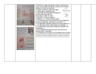 2. Recibir la imagen del aparato urinario y relacionar el
video con las partes del aparato excretor de la imagen y
explicar la función de cada una.
3. Copiar contenido y pegar la imagen.
4. Desarrollar la siguiente copia
5. desarrollar las actividades del texto los
caminos del saber pág. 65.
Desarrollar un taller en clase.
1. Escribe V, si el enunciado es
verdadero, o F, si el enunciado es falso.
a. La transformación de los alimentos se da mediante el
proceso de digestión, respiración y excreción. ( )
b. Las glándulas salivales producen los jugos gástricos. ( )
c. Los alimentos están conformados por nutrientes. ( )
d. La absorción es el proceso donde los nutrientes son
expulsados. ( )
e. En la digestión los alimentos que consumimos se
transforman en nutrientes(
2. Completa los enunciados con las palabras del recuadro.
Venas,nutrientes.Capilares,arterias, sangre circulación
 
