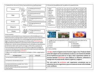 1. Asociael ser vivoconel reinoal que pertenece yexplicaporque.
2.Leo y analizo:
La presenciade lasbacteriasse relacionaconenfermedadesperono
todaspresentanunpeligroparala salud.El cuerpohumanonecesitade la
presenciade lasbacteriasenel sistemadigestivoparaque ayudena
digerirlosalimentos;aeste grupose le conoce como floraintestinal.
Algunasbacteriaselaboransualimentoyotraslo obtienendel medio
donde viven.Unaltonúmerode bacteriassonutilizadasenlaproducción
de alimentostalescomo:kumisyel yogur,entre otros,yque por ser
fuente de bacteriasbenéficasparalosprocesosdigestivos(impidenel
crecimientode bacteriasnocivas) yparael fortalecimientode defensas,
se definencomoalimentos probioticos.
3. Marca con una(X) si laafirmaciónesverdadera ofalsa.Luegoexplica
por qué.
AFIRMACIONES V F PORQUÉ
Existen bacterias benéficas parala salud.
Las bacterias solo existen en el aire.
La mayoría de bacterias pueden tener forma
de coco,bacilo o espirilo.
Existen bacterias perjudiciales queproducen
enfermedades
4. Encuentra laspalabrasdel recuadroenla sopa de letras.
S D E G K Y S G M T H D B
A P R O B I O T I C O S S
I S S U N R C E C D G A X
R B A C I L O S R G V I G
E T R F G E C P O E T R V
T M E T R E N I S D E E H
C B N E E G G R C H G F E
A Y O G U R R I O I P O D
B J M W V U T L P J Q Ñ C
G H C X A Z B O I H R N B
F E D O L E U S O K L M A
C I A E U B A C T E R I A
5. Observalasimágenes.
Conejo
Algas
Ameba
Margarita
Hongos
La amebapertenece al
reino____________________
__
Porque__________________
________________________
p
El conejopertenece al
reino___________________
___
Porque_________________
_______________________
__
La margaritapertenece al
reino____________________
__
Porque___________________
_______________________
El hongopertenece al
reino____________________
__
Porque__________________
________________________
___
El algapertenece al
reino________________
______
Porque_______________
____________________
_______
Yogur
Móneras
Bacilos
Cocos
Espirilos
Probióticos
Microscopio
Suelo
Bacterias
Aire
Eubacterias
a
.
.
c.
Imágenesque corresponde al reino uninstrumentoparaobservarlas
Mónera son: bacteriases el.
A. b ya A. telescopio
B. b y c B. estetoscopio
C. a y c C. microscopio
1. Leo y analizo.
Las algas viven en lugares como el océano, lagos o ríos. Producen buena
parte del oxígeno de los ecosistemas acuáticos y son fuente de alimento
de los herbívoros que viven en el agua. Estos organismos realizan un
proceso llamado fotosíntesis para elaborar su alimento, utilizando la
energía del sol produciendo materia orgánica y oxígeno.
Por otra parte los protozoos son organismos unicelulares que se
alimentandeotrosorganismosyqueenocasionescausanenfermedades
como amibiasis.
 