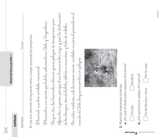 Material fotocopiable

	

Bandera.

Por las lluvias y nieve.	

Por la caza.

b. ¿Por qué está en peligro el huemul?

Escudo.		

2.	Marca las respuestas correctas.
a. ¿En qué símbolo patrio aparece el huemul?

Unidad 2

El huemul, nuestro símbolo nacional
El huemul es un ciervo que habita solamente en Chile y Argentina.
Hoy en día, los huemules están en grave peligro de desaparecer por
diferentes razones: porque el ser humano los caza y por la destrucción
de los bosques donde habita, debido a incendios y tala de árboles.
Por estos motivos, este hermoso ciervo, símbolo nacional presente en el
escudo de Chile, hoy se encuentra en peligro.

Nombre:
Curso:
	
1.	Lee con atención el siguiente texto y luego responde las preguntas.

Lectura

Material fotocopiable 1

 