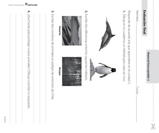 Material fotocopiable

Evaluación final

Material fotocopiable 3

Nombre:
Curso:
	
Responde de acuerdo a lo que aprendiste en la unidad 2.
1.	 Dibuja en tu cuaderno un hábitat para cada ser vivo.

Bosque

2.	Escribe dos diferencias entre los siguientes hábitats.

Desierto

3.	Escribe dos nombres de animales en peligro de extinción de Chile.

4.	¿Que harías para proteger a esos animales? Dibuja o escribe tu respuesta.

	

Unidad 2

 