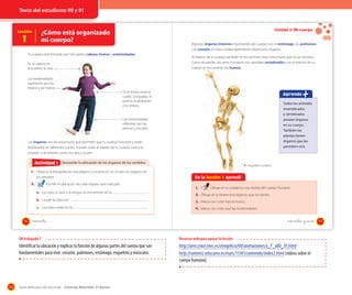 Texto del estudiante 90 y 91

Unidad 3: Mi cuerpo

¿Cómo está organizado
mi cuerpo?

Lección

1

OA 7

Algunos órganos internos importantes del cuerpo son el estómago, los pulmones
y el corazón. En esta unidad aprenderás sobre estos órganos.

Tu cuerpo está formado por tres partes: cabeza, tronco y extremidades.

Al interior de tu cuerpo también se encuentran otras estructuras que tú ya conoces.
Como recuerdas, los seres humanos son animales vertebrados y en el interior de su
cuerpo se encuentran los huesos.

En la cabeza se
encuentra la cara.
Las extremidades
superiores son los
brazos y las manos.

En el tronco está el
cuello, la espalda, el
pecho, el abdomen
y la cintura.

Aprendo
Todos los animales
invertebrados
y vertebrados
poseen órganos
en su cuerpo.
También las
plantas tienen
órganos que les
permiten vivir.

Las extremidades
inferiores son las
piernas y los pies.

Los órganos son las estructuras que permiten que tu cuerpo funcione y están
distribuidos en diferentes partes. Pueden estar al interior de tu cuerpo, como el
corazón, o al exterior, como los ojos y la piel.

Actividad 1
Actividad 2 Recuerdo la ubicación de los órganos de los sentidos

Esqueleto humano

1. Observa la fotografía de esta página y encierra en un círculo los órganos de
En la lección 1 aprendí

los sentidos.

2.

Escribe la ubicación de cada órgano que marcaste.

1.

Dibuja en tu cuaderno una silueta del cuerpo humano.

a. Los ojos, la nariz y la lengua se encuentran en la

2. Dibuja en la silueta dos órganos que recuerdes.

b. La piel se ubica en

.

3. Marca con color rojo el tronco.

c. Los oídos están en la
90

.

.

4. Marca con color azul las extremidades.

noventa y _uno

noventa

OA trabajado 7

Identificar la ubicación y explicar la función de algunas partes del cuerpo que son
fundamentales para vivir: corazón, pulmones, estómago, esqueleto y músculos.

112

Recursos web para apoyar la lección

http://ares.cnice.mec.es/ciengehi/a/00/animaciones/a_F_a00_01.html
http://conteni2.educarex.es/mats/11361/contenido/index2.html (videos sobre el
cuerpo humano).

Guía didáctica del docente – Ciencias Naturales 2º básico

91

 