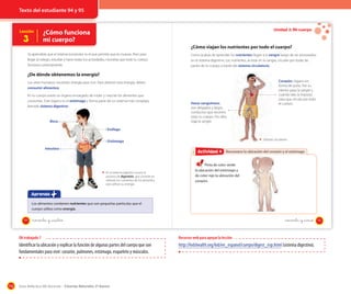 Texto del estudiante 94 y 95

Lección

3

Unidad 3: Mi cuerpo

¿Cómo funciona
mi cuerpo?

OA 7

¿Cómo viajan los nutrientes por todo el cuerpo?
Ya aprendiste que el sistema locomotor es el que permite que te muevas. Pero para
llegar al colegio, estudiar y hacer todas tus actividades, necesitas que todo tu cuerpo
funcione correctamente.

Como acabas de aprender, los nutrientes llegan a la sangre luego de ser procesados
en el sistema digestivo. Los nutrientes, al estar en la sangre, circulan por todas las
partes de tu cuerpo a través del sistema circulatorio.

¿De dónde obtenemos la energía?
Los seres humanos necesitan energía para vivir. Para obtener esta energía, deben
consumir alimentos.
En tu cuerpo existe un órgano encargado de moler y mezclar los alimentos que
consumes. Este órgano es el estómago y forma parte de un sistema más complejo,
digestivo
llamado sistema digestivo.

Boca

Vasos sanguíneos:
son delgados y largos
conductos que recorren
todo tu cuerpo. Por ellos
viaja la sangre.

Corazón: órgano en
forma de puño. Por su
interior pasa la sangre y
cuando late, la impulsa
para que circule por todo
el cuerpo.

Esófago
Sistema circulatorio

Estómago
Intestino

Actividad 4
Actividad 2 Reconozco la ubicación del corazón y el estómago

En el sistema digestivo ocurre el
proceso de digestión, que consiste en
obtener los nutrientes de los alimentos
para utilizar su energía.

Pinta de color verde
la ubicación del estómago y
de color rojo la ubicación del
corazón.

Aprendo
Los alimentos contienen nutrientes que son pequeñas partículas que el
cuerpo utiliza como energía.
94

noventa y _cuatro

noventa y _cinco

OA trabajado 7

Identificar la ubicación y explicar la función de algunas partes del cuerpo que son
fundamentales para vivir: corazón, pulmones, estómago, esqueleto y músculos.

116

Recursos web para apoyar la lección

http://kidshealth.org/kid/en_espanol/cuerpo/digest_esp.html (sistema digestivo).

Guía didáctica del docente – Ciencias Naturales 2º básico

95

 