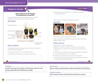 Texto del estudiante 136 y 137

Unidad 4: El agua

Trabajo en ciencias

b. ¿Qué creen ustedes que sucederá con el ciclo del agua si la temperatura
constantemente es baja?

¿Qué sucede con el ciclo del agua
si la temperatura no aumenta?
En este trabajo experimental observarás la importancia de los cambios de
temperatura en el ciclo del agua. Conformen grupos de trabajo.

Pongan a prueba sus respuestas con el siguiente experimento.

¿Qué necesito?

Experimento

dos plantas pequeñas

dos cajas plásticas
agua
dos tapas plásticas
con agua

tierra

piedras pequeñas

1

2

3

Observen todos los días sus modelos del ciclo del agua.
Anoten sus observaciones día a día. Fíjense en el agua del pocillo, las paredes del
recipiente, la planta y la tapa.

un rollo de plástico
transparente

Observo y pregunto
Ya han aprendido sobre el ciclo del agua. Para que se produzca y el agua varíe su
estado debe cambiar la temperatura.

Analizo y comunico
Comparen ambos modelos y sus observaciones.
Respondan en su cuaderno y comenten sus respuestas con los otros grupos.
a. ¿Qué sucedió con el modelo del ciclo del agua que estuvo expuesto a la luz
del sol?

Ahora, respondan y comenten con sus compañeros de grupo.

b. ¿Qué ocurrió con el modelo del ciclo del agua que guardaron en el congelador?

a. ¿Qué sucede con el vapor de agua cuando se acumula en el aire?

c. ¿Cuál es la importancia del sol en el ciclo del agua?
d. ¿Qué sucede con el agua si no existen variaciones de temperatura?
e. ¿Se cumplió la predicción que hicieron sobre qué iba a pasar con el modelo que
está constantemente a bajas temperaturas?

136

_ciento _treinta y _seis

_ciento _treinta y _siete

137

OA trabajado 11

Objetivo del taller

Describir el ciclo del agua en la naturaleza, reconociendo que el agua es un recurso
preciado y proponiendo acciones cotidianas para su cuidado.

Observar y comparar la importancia de los cambios de temperatura en el ciclo del agua.
Habilidades desarrolladas

Seguir instrucciones, observar, formular inferencias y predicciones y comparar.

162

Guía didáctica del docente – Ciencias Naturales 2º básico

 