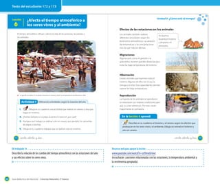 Texto del estudiante 172 y 173

Unidad 5: ¿Cómo está el tiempo?

¿Afecta el tiempo atmosférico a
los seres vivos y al ambiente?

Lección

6

Efectos de las estaciones en los animales
El tiempo atmosférico influye y afecta la vida de las personas, las plantas y
los animales.

Los animales también realizan
diferentes actividades según los
fenómenos atmosféricos. La variación
de temperatura y las precipitaciones
son los que más los afectan.

Yo duermo
durante el invierno
y despierto en
primavera.

Migraciones
Algunas aves, como el gaviotín y la
golondrina, recorren grandes distancias para
evitar las bajas temperaturas del invierno.

Hibernación

La gente se baña en la playa durante el verano, pues la temperatura ambiental es alta.

Actividad 7
Actividad 2 Diferencio actividades según la estación del año
1.

Dibuja en tu cuaderno una actividad que realices en verano y otra que
hagas en invierno.

2. ¿Podrías bañarte en la playa durante el invierno?, ¿por qué?
3. Averigua qué trabajos se realizan solo en verano, por ejemplo, los salvavidas
de playas y piscinas.

4. Dibuja en tu cuaderno trabajos que se realicen solo en invierno.
172

Claudio Sandoval B.

Existen animales que duermen todo el
invierno. Algunos de ellos son el oso, la
tortuga y el erizo. Esta capacidad les permite
superar las bajas temperaturas.

Reproducción
La mayoría de los animales se reproducen
en estaciones con mejores condiciones para
que sus crías sobrevivan. Por esto, nacen
mayormente en primavera.

En la lección 6 aprendí
Describe en tu cuaderno el invierno y el verano según los efectos que
produzcan en los seres vivos y el ambiente. Dibuja un animal en invierno y
otro en verano.

_ciento _setenta y _dos

_ciento _setenta y _tres

OA trabajado 14

Describir la relación de los cambio del tiempo atmosférico con las estaciones del año
y sus efectos sobre los seres vivos.

202

Recursos web para apoyar la lección

www.youtube.com/watch?v=zrJ9mxGFmvI.
(escucharán canciones relacionadas con las estaciones, la temperatura ambiental y
la vestimenta apropiada).

Guía didáctica del docente – Ciencias Naturales 2º básico

173

 