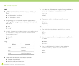 VIII. Banco de preguntas
OA 1
1.	 ¿Qué características tienen en común una vaca, un león y un
perro?
A. Son vertebrados y mamíferos.

5.	 ¿Cuál de los siguientes animales no tiene columna vertebral y su
cuerpo está protegido por un esqueleto externo?
A. Caracol
B. Pulpo

B. Son vertebrados y reptiles.
2.	 En un zoológico se agruparon en un mismo sector todos los
reptiles. ¿Cuál de los siguientes animales podría formar parte de
este grupo?
A. Rana
B. Tortuga

A. Insectos
B. Moluscos
OA 3
7.	 ¿Cuál de los siguientes animales nace del vientre materno?

3.	 ¿Cuál de los siguientes animales cumple con estas características:
es vertebrado, su cuerpo está cubierto de escamas y posee
branquias para respirar?

A. Rana
B. Vaca
8.	 Es un animal que nace de un huevo y al nacer es muy diferente a
sus padres.

A. Cocodrilo
B. Pez

A. Polluelo
B. Mariposa

OA 2
Grupo 1

Grupo 2

cisne

mosquito

rana

hormiga

ciervo

chanchito de tierra

4.	 ¿Qué criterio se utilizo para clasificar estos animales?
A. Forma de desplazamiento
B. La presencia de columna vertebral
228

6.	 ¿A qué grupo de invertebrados pertenece la mariposa?

Guía didáctica del docente - Ciencias Naturales 2º básico

9.	 ¿Qué animal vive primero en el agua y luego de algunas
transformaciones vive el resto de su vida en la tierra?
A. Pez
B. Rana

 