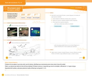 Texto del estudiante 14 y 15

Me preparo para
la nueva unidad
Recuerda lo que sabes y
desarrolla las siguientes
actividades. Al finalizar
completa pintando:

Unidad 1: Los animales

Clasiﬁcar

3. Monti tiene su piel cubierta de pelos, y quisiera agruparse con animales de
Correcto

Por lograr

Aún no logrado

igual cobertura. ¡Ayúdalo!
a. Reúne imágenes de diferentes animales, tijeras y pegamento.
b. Observa tus recortes y clasifícalos pegando donde corresponda.
c. Ahora responde las siguientes preguntas.

Identificar cubiertas corporales en diferentes animales

1.

·

Marca los animales que poseen escamas.

Cocodrilo

Rana

¿Qué criterio utilizaste para clasificar los animales?
Animales con pelo

Animales con plumas

Pez

Identiﬁcar formas de desplazamiento de diferentes animales

2.

Pinta los animales que se desplazan caminando.
·

¿Qué otros grupos puedes formar con tus recortes? Pégalos en tu
cuaderno identificando el criterio utilizado para clasificarlos.

Clasiﬁcar

4. Salgan al patio, a la plaza o al parque. Busquen y observen diferentes animales.
Anoten sus nombres y luego clasifíquenlos según su cubierta corporal.

14

_catorce

Objetivo: Evaluación diagnóstica

El objetivo de estas páginas es que tanto usted, como los alumnos, identifiquen que conocimientos previos tienen sobre el tema de la unidad.
Pídales a sus alumnos que realicen los ítems de forma individual. Al finalizar el proceso, es importante que revise las actividades, calificando de 1 a 3 según sus logros.
Dependiendo del resultado, cada alumno pintará las huellas de Monti que corresponda (1, 2 o 3).

30

Guía didáctica del docente – Ciencias Naturales 2º básico

_quince

15

 