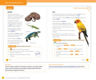 Texto del estudiante 20 y 21

Unidad 1: Los animales

Lección 2

Reptiles

Aves

¿Sabes cómo se desplazan las
serpientes? Imita su movimiento y luego
comenta con tus compañeros: ¿Tendrán
huesos las serpientes?, ¿por qué?

En primero básico aprendiste que existen animales que tienen plumas que cubren
su piel. Este tipo de cobertura es característica del grupo de las aves.

Las serpientes son animales
vertebrados pues poseen huesos. Las
serpientes pertenecen al grupo de
los reptiles. También son reptiles las
tortugas, cocodrilos y lagartijas.
La gran mayoría de los reptiles son
animales terrestres. Para respirar
utilizan pulmones.

Las aves se reproducen a través de huevos. Son animales terrestres y la mayoría se
desplaza volando.
Respiran mediante sus pulmones.

Loro

Para alimentarse tienen un pico que les permite
tomar la gran variedad de alimentos que consumen.

Serpiente

Hay algunas aves que son expertas nadadoras, como
los patos y las taguas.
Otras aves no son capaces de volar, como los pingüinos
y ñandúes.

Lagartija

Se reproducen por huevos que ponen
sobre la tierra, y cuando nacen las crías,
estas son iguales a los padres.

Algunos ejemplos de aves que habitan en Chile son el
martín pescador, el carpintero negro y el churrín del norte,
el tordo y el zorzal.

Su piel está cubierta de escamas.
Algunos reptiles que habitan en Chile
son la lagartija esbelta, el gruñidor del
sur y la culebra de cola larga.

Actividad 4
Actividad 2 Identifico características específicas de vertebrados
Tortuga marina

Actividad 3
Actividad 2 Comparo modelos de escamas
1.

Trabaja con los recortables de la página 47.

2. Sigue las instrucciones de tu profesor y arma los modelos de
escamas de un reptil y un pez.

3. Pégalos en las fichas que te entregará tu profesor y
compáralas.

20

Marca donde corresponda.
a.

Los reptiles poseen escamas
corporal.

b. Los peces
c.

reptiles

plumas

respiran utilizando sus branquias.

El pico es la estructura que utilizan aves
alimentarse.

d. Los anfibios viven un tiempo en el agua
la tierra.

veinte

en su cubierta

reptiles
aire

para
y otro en

veintiuno

OA trabajado 1

Observar, describir y clasificar los vertebrados en mamíferos, aves, reptiles, anfibios
y peces, a partir de características como cubierta corporal, presencia de mamas y
estructuras para la respiración, entre otras.

36

Recursos web para apoyar la lección

http://www.fundacionphilippi.cl/fundacion/CHILENATURAL.html (tipos de aves).

Guía didáctica del docente – Ciencias Naturales 2º básico

21

 