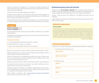 Antes de comenzar con las páginas 22 y 23 sobre los mamíferos, asegúrese que
todos los alumnos hayan interiorizado la mayoría de las características de los otros
cuatro grupos de vertebrados.
Comience el nuevo contenido realizando la Actividad 5.
El objetivo de la actividad 5 es que mediante la observación de las fotografías y las
preguntas, los niños descubran que la principal características de los mamíferos es
que se alimentan de la leche de sus madres.
Al leer la información sobre los mamíferos de la página 22 es muy importante hacer
un constante paralelo con los seres humanos que también pertenecen a este grupo.

Actividad 5
Estilo de aprendizaje: Teórico.
Nivel de complejidad: Media.
Lea la actividad para todo el grupo, pero permítales que reflexionen y respondan
individualmente.
Complemente la actividad preguntando: ¿cómo es la cubierta corporal de todos los
animales de las fotografías?

Orientaciones para el cierre de la lección
Trabaje la sección En la lección 2 aprendí. Pida a sus alumnos que recorten los
animales. Si es posible, entrégueles más imágenes de diferentes animales a cada uno.
Luego indíqueles que deben clasificarlos en los cinco grupos que aprendieron.
El grupo 1 serán los peces, el 2 los anfibios, el 3 los reptiles, el 4 las aves y el 5 los
mamíferos.
Luego, pídales que escriban dos características de cada grupo para después comentarlas con todo el grupo.

Información complementaria
La leche materna
La leche humana ofrece al niño el alimento ideal y completo durante los primeros
6 meses de vida y sigue siendo la óptima fuente de lácteos durante los primeros dos
años, al ser complementada con otros alimentos. Cada leche tiene características propias
que la diferencian significativamente de otras leches de mamíferos y la hacen adecuada
a la cría de la especie. Del punto de vista nutricional, la infancia es un período muy
vulnerable, ya que es el único período en que un solo alimento es la única fuente de
nutrición, y justamente durante una etapa de maduración y desarrollo de sus órganos.
Fuente: Archivo editorial

Respuestas esperadas

a.	 Los animales pequeños están tomando leche de sus madres.
b.	 Tomando leche de mi mamá y con mamadera.
c.	 Algunos niños quizás puedan responder que son mamíferos.
Mencione las características de los mamíferos siempre relacionándolos con ellos.
Haga la comparaciones con el resto de los animales que han estudiado. Para esto
puede utilizar la Actividad complementaria.
Enfatice en la reproducción, recuérdeles que anfibios, peces, aves y reptiles nacen
de un huevo puesto por la madre, a diferencia de los mamíferos, que las crías
crecen en el vientre (útero) de la mamá.
Refuerce el concepto de leche materna y lo vital que es para las crías este alimento.
Es importante que les comente a sus alumnos que existen mamíferos que viven
sobre la tierra y otros que viven bajo el agua.
Muéstreles imágenes de ballenas, orcas, delfines, manatíes, lobos de mar, focas y
nutrias enfatizando que son animales mamíferos. Pídales que les observen el pelo
y si es posible muéstrele algunos partos de ellos.
Puede utilizar el siguiente video www.youtube.com/watch?v=Zf-NJgKVOhk
donde se observa el nacimiento de una orca.

Actividad complementaria
Escribe el o los nombres de los grupos de animales que estudiaste en cada grupo.

a.	 Crecimiento de la cría antes de nacer:
En un huevo:
Dentro de la madre:

b.	 Cubierta corporal
Plumas:
Escamas:
Pelos:

Sugerencias metodológicas - Unidad 1

39

 