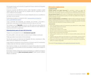 Para trabajar el grupo de los insectos se sugiere leer el texto, observar las fotografías
e identificar sus partes.

Información complementaria

Construya maquetas de diferentes insectos, utilice materiales reciclados y papel
celofán para las alas. No importa que no respeten todos los segmentos, pero al
menos deben ser estructurados.

¿Cuándo aparece con mayor frecuencia? En primavera y verano, su época de
reproducción. Esto se potencia con el cambio de las condiciones ambientales y el
aumento de la temperatura. Sale de noche porque teme al movimiento, la luz y el ruido.

Los arácnidos son invertebrados de ocho patas. Indíqueles que esa es una diferencia
que tienen con los insectos.
Puede observar arañas en el siguiente video, www.youtube.com/watch?v=
jzmUC_kD6ok&feature=related
Luego, muéstreles dos fotografías, por ejemplo, una hormiga y una araña y
pregunteles a qué grupo de invertebrados pertencece cada una y por qué.
Para trabajar la sección Aprendo + converse con ellos sobre qué arañas peligrosas
conocen. Quizás alguno habrá escuchado sobre la araña de rincón. Refuerce la
importancia de tener su casa limpia.

Orientaciones para el cierre de la lección
Trabaje con sus estudiantes la sección En la lección 3 aprendí.
Recuerde pedirles o tener para cada uno plasticina para moldear un artrópodo.
Pídales que realicen la actividad en forma individual.
Sería de gran ayuda que observaran las fotografías del texto y basándose en ellas,
dieran forma con la plasticina a un artrópodo.
Luego organice una puesta en común para que se muestren todos los invertebrados
creados y pida a los niños que nombren sus características.

La araña de rincón

¿En qué momento ataca? Suele morder en la madrugada, cuando la persona despierta,
prende la luz y se viste. Al asustarse, la araña se esconde muy rápido entre la ropa y, al
sentirse violentada, muerde.
¿Cómo se puede distinguir su mordedura? A diferencia de las picadas de zancudo o
pulga, la mordedura de araña de rincón duele, arde y se oscurece a medida que pasan
las horas. Otros síntomas posteriores son la fiebre y el cambio de coloración en la orina
cuando el grado de compromiso es mayor (síndrome visceral).
Cómo prevenir

•	 Hacer aseo profundo en todos los rincones de la casa, detrás de los cuadros, debajo
de los muebles y dentro de los closets.
Separar las camas de los muros.
No colgar ropas o toallas en las murallas.
Revisar y sacudir la vestimenta y los zapatos antes de ponérselos.
Revisar cama y rincones antes de acostarse.
Utilizar guantes plásticos antes de asear los rincones donde pudiera anidar este
arácnido.
•	 Cambiar la ropa de invierno por la de verano en un lugar amplio y luminoso. Nunca
dentro de la habitación. La araña al asustarse escapará y se esconderá en la pieza.
•	 Evitar que los niños jueguen dentro de los closets o con cajas que no han sido revisadas por un adulto responsable.

•	
•	
•	
•	
•	

Recuperado de http://redsalud.uc.cl/link.cgi/MS/RevistaSaludUC/Tips/6097

Para el punto 4, trabaje con sus estudiantes en el patio de la escuela, en lo posible
en un área verde donde puedan encontrar invertebrados. Pídales que los dibujen en
sus cuadernos.
Para finalizar, invítelos a responder en forma individual en sus cuadernos la pregunta
que da título a la lección ¿Qué invertebrados existen? Pueden hacerlo mediante
dibujos o escribiendo.

Sugerencias metodológicas - Unidad 1

43

 