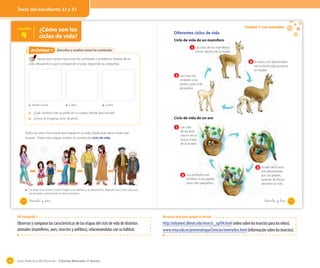 Texto del estudiante 32 y 33

Unidad 1: Los animales

¿Cómo son los
ciclos de vida?

Lección

4

Actividad 7
Actividad 2

OA 3

Diferentes ciclos de vida
Ciclo de vida de un mamífero
1 Las crías de los mamíferos

Describo y analizo cómo he cambiado

crecen dentro de la madre.

Desde que naciste hasta hoy has cambiado. Completa la historia de tu
vida, dibujando lo que corresponde y luego responde las preguntas.

2 Al nacer, son alimentadas
con la leche que produce
su madre.

3 Las crías son
similares a los
padres, pero más
pequeños.

Recién nacido

3 años

6 años

a. ¿Qué cambios han ocurrido en tu cuerpo desde que naciste?
b. ¿Cómo te imaginas a los 18 años?

Ciclo de vida de un ave
1 Las crías

Todos los seres vivos pasan por etapas en su vida, desde que nacen hasta que
mueren. Todas estas etapas reciben el nombre de ciclo de vida.

de las aves
crecen en el
huevo, fuera
de la madre.

2 Al salir del huevo
3 Los polluelos son

similares a sus padres,
pero más pequeños.

son alimentadas
por sus padres,
quienes les llevan
alimento al nido.

Los seres vivos nacen, crecen, llegan a ser adultos y se reproducen, dejando una o más crías que
comenzarán nuevamente el mismo proceso.

32

_treinta y _tres

_treinta y _dos

33

OA trabajado 3

Observar y comparar las características de las etapas del ciclo de vida de distintos
animales (mamíferos, aves, insectos y anfibios), relacionándolas con su hábitat.

48

Recursos web para apoyar la lección

http://urbanext.illinois.edu/insects_sp/04.html (video sobre los insectos para los niños).
www.rena.edu.ve/primeraetapa/Ciencias/invertebra.html (información sobre los insectos).

Guía didáctica del docente – Ciencias Naturales 2º básico

 