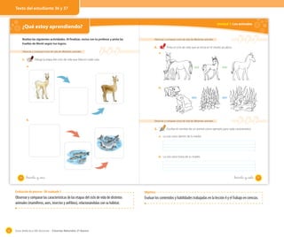 Texto del estudiante 36 y 37

Unidad 1: Los animales

¿Qué estoy aprendiendo?
Realiza las siguientes actividades. Al finalizar, revisa con tu profesor y pinta las
huellas de Monti según tus logros.

Observar y comparar ciclos de vida de diferentes animales

2.

Observar y comparar ciclos de vida de diferentes animales

1.

Pinta el ciclo de vida que se inicia en el medio acuático.
a.

Dibuja la etapa del ciclo de vida que falta en cada caso.
a.

b.

b.

Observar y comparar ciclos de vida de diferentes animales

3.

Escribe el nombre de un animal como ejemplo para cada característica.
a. La cría crece dentro de la madre.

b. La cría crece fuera de su madre.

36

_treinta y seis

_treinta y _siete

37

Evaluación de proceso - OA evaluado 3

Observar y comparar las características de las etapas del ciclo de vida de distintos
animales (mamíferos, aves, insectos y anfibios), relacionándolas con su hábitat.

52

Objetivos

Evaluar los contenidos y habilidades trabajadas en la lección 4 y el Trabajo en ciencias.

Guía didáctica del docente – Ciencias Naturales 2º básico

 