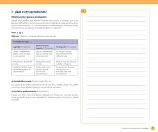 ¿Qué estoy aprendiendo?
Orientaciones para la evaluación
Pídales a sus alumnos que realicen en forma individual las actividades que se les
plantean. Al finalizar es importante que revise los resultados de cada uno de sus estudiantes, calificando con 1, 2, o 3 puntos según sus niveles del logro. Posterior a eso, los
niños pintan sus puntajes en las huellas de Monti en cada ítem.
Ítems 1, 2 y 3
Objetivo: Observar y comparar diferentes ciclos de vida.
Indicador de logro
Logrado (8-9 puntos)

Medianamente
logrado (5-7 puntos)

No logrado (3-4 puntos)

Dibuja completando
ambos ciclos de vida
correctamente.

Dibuja completando
solo un ciclo de vida
correctamente.

No dibuja o dibuja
incorrectamente los
ciclos de vida.

Pinta el ciclo de vida de
la rana.

Pinta ambos ciclos
de vida.

Pinta el ciclo del vida del
caballo o ninguno.

Escribe en ambos casos
un animal acorde a las
características

Escribe solo en un
caso un animal
acorde a las
características.

No escribe en ninguno
de los casos un
animal acorde a las
característica.

Actividad diferenciada (Para los niveles ML y NL)
Con ayuda de tu familia construye el ciclo de vida de tu familia. Dibuja a tus padres
como hijos de tus abuelos y luego a ti como hijo de tus padres.
Actividad de profundización (Para el nivel L)
Escoge uno de los ciclos estudiados y dibújalo con témpera en una hoja de bloc.
Luego explica las etapas a tus compañeros y averigua cuántas crías tiene tu animal
escogido.

Sugerencias metodológicas - Unidad 1

53

 