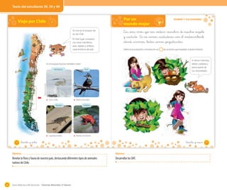 Texto del estudiante 38, 39 y 40

Viajo por Chile

Por un
mundo mejor

N
E
O

s

Yo vivo en el bosque del
sur de Chile.
En este lugar comparto
con otros mamíferos,
aves, reptiles y anfibios
característicos del país.

Los _seres vivos _que nos _rodean _necesitan _de _nuestro _respeto
y _cuidado. Si no _somos _cuidadosos _con _el _medioambiente
_donde _vivimos, _todos _somos _perjudicados.
Observa la ilustración y encierra en un

Aves

Florentino Alvarado

Florentino Alvarado

las acciones que respetan nuestro entorno.

Si tienes mascotas,
debes cuidarlas y
preocuparte de
sus necesidades.

En el bosque lluvioso también viven:
Mamíferos

Unidad 1: Los animales

Zorro chilla

Martín pescador
Anfibios

Juan Carlos Pacheco

Reptiles

Lagartija esbelta

38

Ranitas de Darwin

_treinta y _ocho

_treinta y nueve

Objetivos

Revelar la flora y fauna de nuestro país, destacando diferentes tipos de animales
nativos de Chile.

54

Objetivos

Desarrollar los OAT.

Guía didáctica del docente – Ciencias Naturales 2º básico

39

 