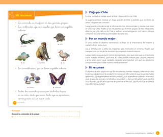 Viajo por Chile

Mi resumen

En esta unidad se trabaja sobre la flora y fauna del Sur de Chile.

Los _animales _se _clasifican _en _dos _grandes _grupos:
Los vertebrados, _que _son _aquellos _que _tienen _un _esqueleto
_interno.

Se sugiere primero mostrar un mapa grande de Chile y pedirles que nombren las
zonas o lugares que conocen.
Luego puede complementar la información con otros animales y plantas que viven
en el Sur de Chile. Pídales a los estudiantes que formen grupos de tres integrantes,
elijan un ser vivo del sur de Chile y realicen una investigación con fotos o dibujos
contando las características principales de cada uno.

	 Por un mundo mejor
En esta unidad el objetivo transversal a trabajar es la importancia del respeto y
cuidado de los seres vivos.

reptil
anfibio

Lea la introducción y utilice las imágenes para motivarlos en el tema. Pídales que
marquen con un círculo las acciones que respetan nuestro entorno.

pez

mamífero

ave

Los _invertebrados, _que no _tienen _esqueleto _interno.

Luego, realice una puesta en común y pregúnteles: ¿por qué creen que es importante
cuidar nuestro entorno?, ¿qué otras acciones puedes realizar para cuidar tu entorno
y a los seres vivos?, ¿qué cuidados necesita una mascota?, ¿en qué nos podemos
comprometer para cuidar nuestro medioambiente?

	 Mi resumen
El objetivo de esta página es que los estudiantes puedan integrar y relacionar todos
los temas trabajados en la unidad 1. Converse con ellos sobre lo que recuerdan haber
aprendido. ¿Qué aprendieron en esta unidad?; ¿qué aprendieron sobre los animales?;
¿qué grupos de animales vertebrados recuerdas?; ¿y de invertebrados?; ¿qué significa
ciclo de vida?; ¿qué fue lo que más te gusto de la unidad?; ¿qué fue lo que te pareció
más difícil de la unidad?

molusco

artrópodo

T_odos _los _animales _pasan _por _distintas _etapas
_en _su vida, _desde _que nacen _hasta _que _se _reproducen,
_comenzando _así _un nuevo _ciclo.
40

_cuarenta

Mi resumen

Resumir los contenidos de la unidad.

Sugerencias metodológicas - Unidad 1

55

 