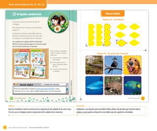 Texto del estudiante 46, 47, 49 y 51

Recortable

Brigada ambiental

Página 20 – Actividad 3
Es hora de comenzar el primer desafío de
tu Brigada.
Recuerda construir tu insignia. Recórtala de la
página 117.
Durante esta unidad has aprendido sobre las
diferentes características de los animales. Pero
¿compartes con animales?, ¿tienes mascotas?
Con ayuda de un adulto, diseñen diferentes
afiches, los que pueden pegar en el mural o patio
de su escuela. Guíate por el ejemplo.
Para mantener saludable
y feliz a nuestra mascota
debemos:

Página 23 – En la lección 2 aprendí

1. Procurar que su espacio
esté limpio.
2. Preocuparnos de su
agua y alimento todos
los días.

−

Mundo digital

Cuidado de mascotas

Entra al computador e ingresa a www.recursostic.cl/lc2044. Luego
comenta con tu curso: ¿qué cuidados debo tener con mis mascotas?

46

Pega en tu cuaderno

3. Llevarlo al veterinario si
lo requiere.

_cuarenta y _siete

_cuarenta y seis

Objetivo

Que los estudiantes tomen conciencia de la importancia del cuidado de los seres vivos.
En este caso se trabajará sobre la importancia del cuidado de las mascotas.

60

Recortables

Indíqueles a sus alumnos qué recortables deben utilizar. No permita que recorten toda la
página, ya que pueden extraviar los recortables para las siguientes actividades.

Guía didáctica del docente – Ciencias Naturales 2º básico

47

 