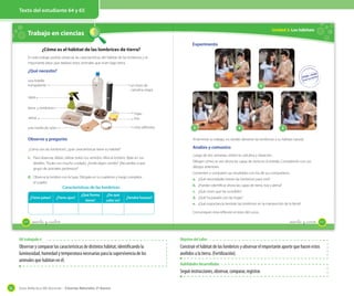 Texto del estudiante 64 y 65

Unidad 2: Los hábitats

Trabajo en ciencias

OA 4

¿Cómo es el hábitat de las lombrices de tierra?

Experimento

En este trabajo podrás observar las características del hábitat de las lombrices y la
importante labor que realizan estos animales que viven bajo tierra.

¿Qué necesito?
una botella
transparente

1

un trozo de
cartulina negra

2

agua
tierra y lombrices
arena

hojas
tiza

una media de nylon

cinta adhesiva

3

4

5

Observo y pregunto

Al terminar tu trabajo, no olvides devolver las lombrices a su hábitat natural.

¿Cómo son las lombrices?, ¿qué características tiene su hábitat?

Analizo y comunico

1. Para observar, debes utilizar todos tus sentidos. Mira la lombriz, fíjate en sus
detalles. Tócala con mucho cuidado. ¿Emite algún sonido? ¿Recuerdas a qué
grupo de animales pertenece?

2. Observa la lombriz con la lupa. Dibújala en tu cuaderno y luego completa
el cuadro.

¿Tiene ojos?

¿Qué forma
tiene?

¿De qué
color es?

Dibujen cómo se ven ahora las capas de tierra en la botella. Compárenlo con sus
dibujos anteriores.
Comenten y comparen sus resultados con los de sus compañeros.
a. ¿Qué necesidades tienen las lombrices para vivir?
b. ¿Pueden identificar ahora las capas de tierra, tiza y arena?

Características de las lombrices
¿Tiene patas?

Luego de dos semanas, retiren la cartulina y observen.

c. ¿Qué creen que ha sucedido?
¿Tendrá huesos?

d. ¿Qué ha pasado con las hojas?
e. ¿Qué importancia tendrán las lombrices en la mantención de la tierra?
Comuniquen esta reflexión al resto del curso.

64

sesenta y _cuatro

sesenta y _cinco

OA trabajado 4

Objetivo del taller

Observar y comparar las características de distintos hábitat, identificando la
luminosidad, humedad y temperatura necesarias para la supervivencia de los
animales que habitan en él.

Construir el hábitat de las lombrices y observar el importante aporte que hacen estos
anélidos a la tierra. (Fertilización).
Habilidades desarrolladas

Seguir instrucciones, observar, comparar, registrar.
82

Guía didáctica del docente – Ciencias Naturales 2º básico

65

 