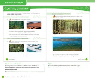 Texto del estudiante 66 y 67

Unidad 2: Los hábitats

¿Qué estoy aprendiendo?

OA 4

Realiza las siguientes actividades. Al finalizar, revisa con tu profesor y pinta las
huellas de Monti según tus logros.

3.

Observar y comparar las características de diferentes hábitats

1.

Identificar las características de los animales y plantas
que viven en diferentes hábitats

Recorta los animales de la página 83 y pégalos en su hábitat. Luego,
responde en tu cuaderno.

Observa las fotografías y completa las oraciones.

a. Una de las diferencias entre estos hábitats es que en el desierto
muy poco y en el bosque llueve

.

b. En el bosque hay muchos árboles, a diferencia del desierto, cuyas plantas
características son los
.

Bosque

Observar y comparar las características de diferentes hábitats

2.

Escribe dos diferencias de los siguientes hábitats, en relación con su
temperatura y vegetación.

Laguna

a. ¿Podrían los renacuajos vivir en un medio sin agua?, ¿por qué?
b. ¿Puede vivir el pájaro carpintero en el desierto?, ¿por qué?
66

sesenta y _seis

sesenta y _siete

Evaluación de proceso - OA evaluado 4

Observar y comparar las características de distintos hábitat, identificando la
luminosidad, humedad y temperatura necesarias para la supervivencia de los
animales que habitan en él.

84

Objetivo

Evaluar los contenidos y habilidades trabajadas en las lecciones 1, 2 y 3 .

Guía didáctica del docente – Ciencias Naturales 2º básico

67

 