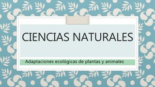CIENCIAS NATURALES
Adaptaciones ecológicas de plantas y animales
 