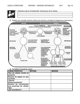 LICEO LUTHER KING NOVENO – CIENCIAS NATURALES 2017 Pág. 19
1. Describe cuál es el fundamento del proceso de la mitosis.
2. Realiza una consulta sobre la mitosis y la meiosis y completa el diagrama a continuación
3. Completa el siguiente cuadro:
CARACTERISTICA MITOSIS MEIOSIS
Tipo de células donde se
presenta
Numero de etapas en que
se divide
¿Ocurre
entrecruzamiento?
Numero de cromosomas
que presentas las células
hijas
¿Se recombinan?
 
