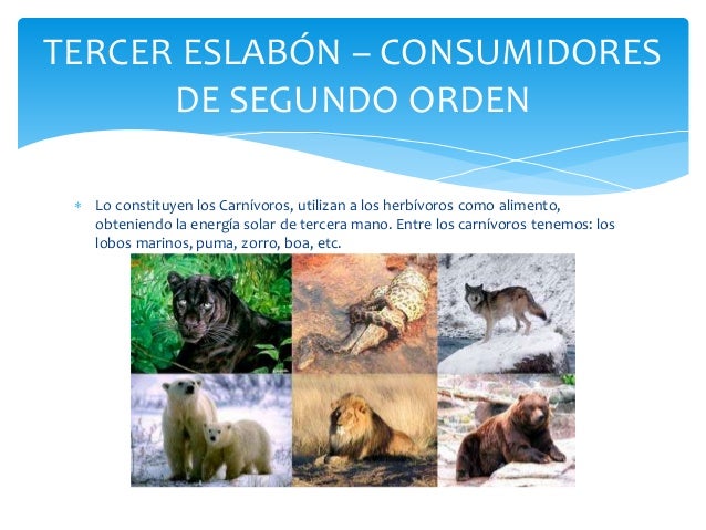 Imagen relacionada