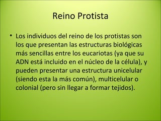 Reino Protista
• Los individuos del reino de los protistas son
los que presentan las estructuras biológicas
más sencillas entre los eucariotas (ya que su
ADN está incluido en el núcleo de la célula), y
pueden presentar una estructura unicelular
(siendo esta la más común), multicelular o
colonial (pero sin llegar a formar tejidos).
 